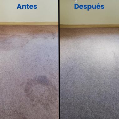 Limpieza-alfombra-1